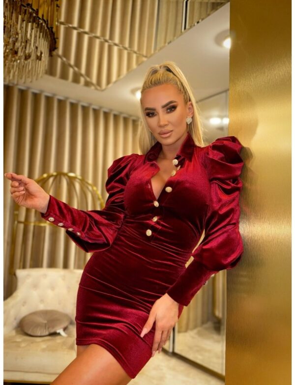 ELAINE BURGUNDY DRESS